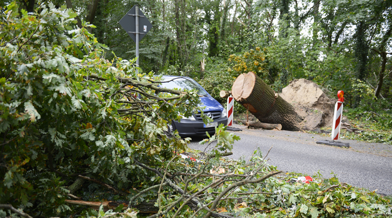 Sturmschäden in Kleinmachnow Copyright kai Vogel