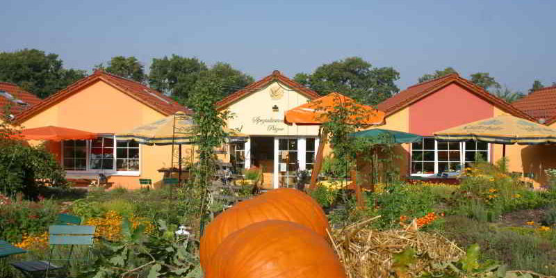 Wie viel Schönes, Leckeres und Gesundes man in der Region entdecken kann, zeigt sich im Sanddorn-Garten Petzow, nur 40 Minuten von Kleinmachnow entfernt.
