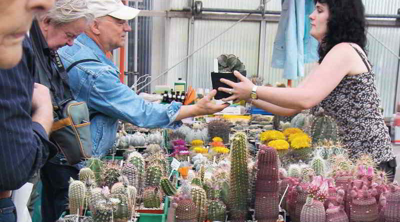 Berliner Kakteentage Im Botanischen Garten Stadt Blatt Verlag