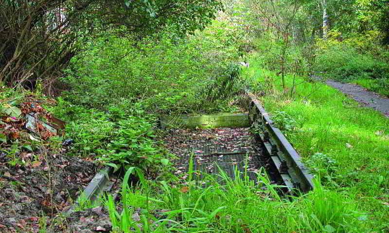 Stammbahn Schienen