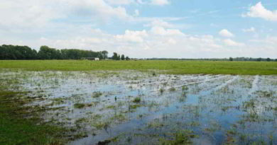 Der Regen sorgt für große Ernteverluste in der Region. Am schlimmsten betroffen ist Getreide. Und die Sommer der Zukunft werden nicht besser...