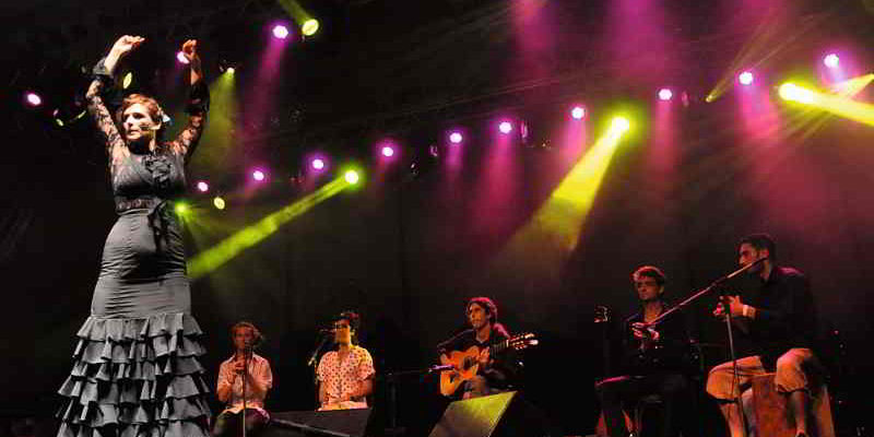 Im Rahmen der Sommerkonzerte Open Air ist am 18. August von 18:00 bis 20:00 Uhr Azuleo zu Gast im Botanischen Garten
