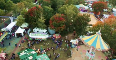 screenshot teltow stadtfest 2017