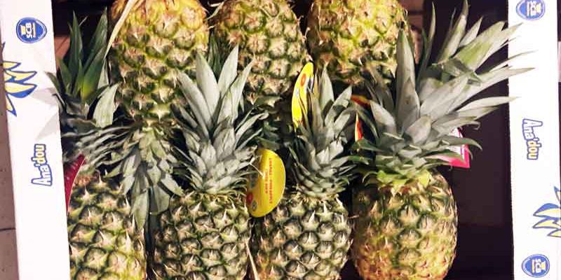 Am 7. fällt der Startschuss für die Fachmesse FRUIT LOGISTICA. Auf knapp 125.000 Quadratmetern erfahren die Gäste alles Wissenswerte über Obst, Gemüse, Kartoffeln, Lagerung, Transport und Verpackung.