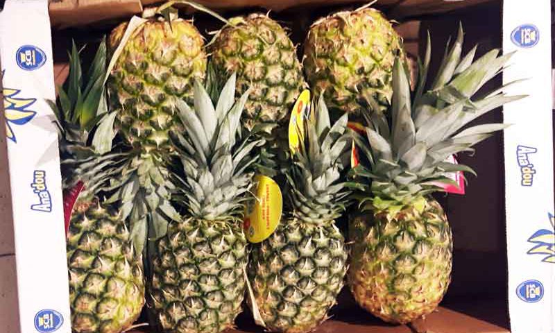 Am 7. fällt der Startschuss für die Fachmesse FRUIT LOGISTICA. Auf knapp 125.000 Quadratmetern erfahren die Gäste alles Wissenswerte über Obst, Gemüse, Kartoffeln, Lagerung, Transport und Verpackung.