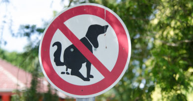 Verbotsschild Hundekot (c) Pixabay