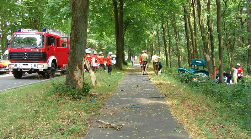 Baumunfall auf Landstraße (c) pixabay