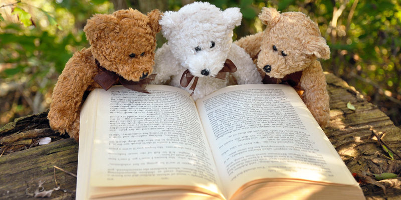 15. Märkische Literaturtage. Noch bis zum 28. April laden Bibliotheken, Kultureinrichtungen und Vereine zu zahlreichen Lesungen und weiteren Programmen ein.