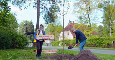 Kleinmachnows Bürgermeister Michael Grubert hat an der Hohen Kiefer eine Esskastanie gepflanzt