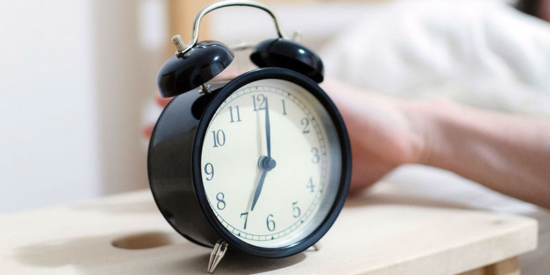 Erste-Hilfe-Puppe, Schlafforscher, Grünes Klassenzimmer und Imkerprojekt - im April wurden vier Projektideen für das Jugendbudgets der Gemeinde Kleinmachnow vorgestellt.