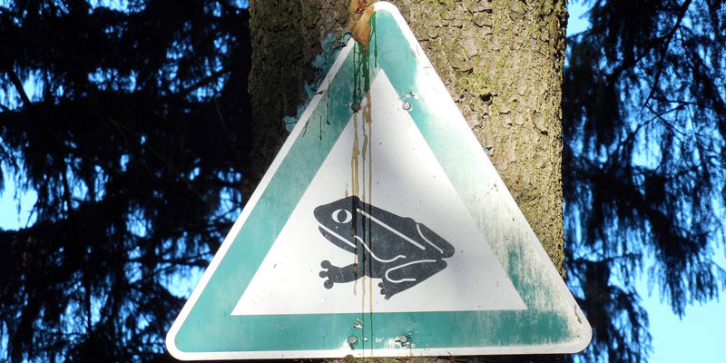 Krötenwanderung Schild