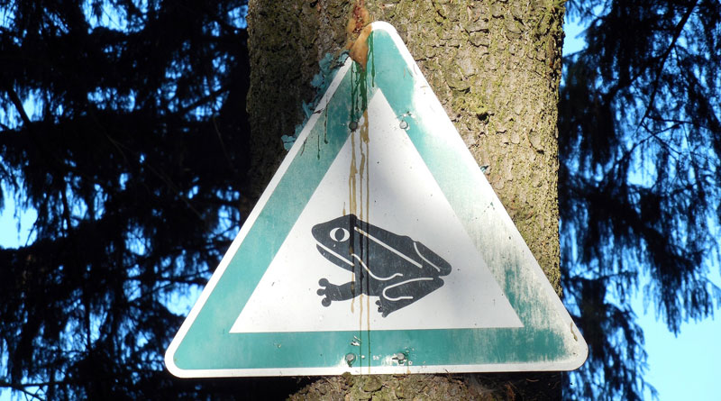 Krötenwanderung Schild