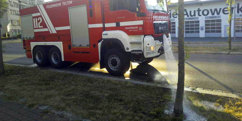 Eine solche Trockenheit wie Brandenburg sie derzeit erlebt, hat es seit Beginn der Wetteraufzeichnungen nicht gegeben. Darunter leidet Erneut rufen die Kommunen Teltow und Kleinmachnow darum zur aktiven Hilfe gegen die Trockenheit auf.
