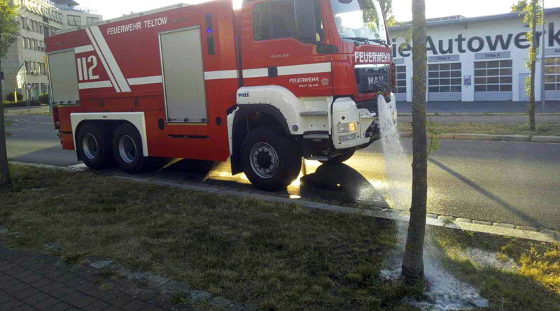 Eine solche Trockenheit wie Brandenburg sie derzeit erlebt, hat es seit Beginn der Wetteraufzeichnungen nicht gegeben. Darunter leidet Erneut rufen die Kommunen Teltow und Kleinmachnow darum zur aktiven Hilfe gegen die Trockenheit auf.