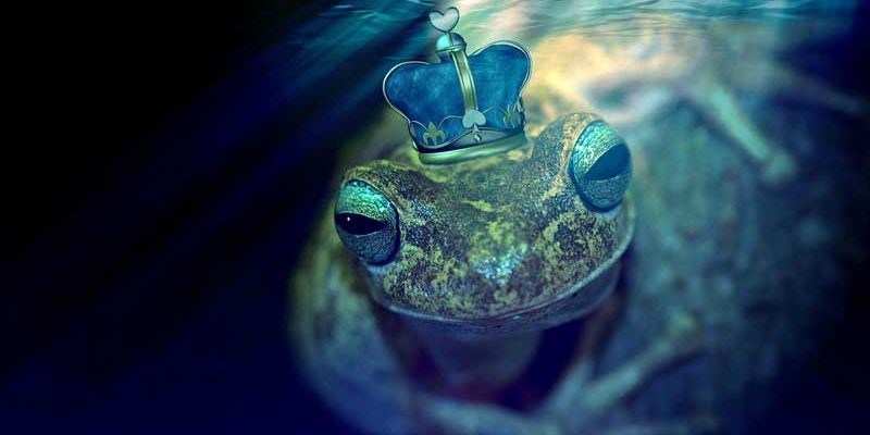 Um „Märchen von Zaubergärten und Gartenzauber“ drehen sich die 28. Kleinmachnower Märchentagen vom 11. bis zum 18. November im Bürgersaal des Rathauses und in der Kunst- und Kultur-Werkstatt. Dabei sind nicht nur Märchen für Kinder zu hören.