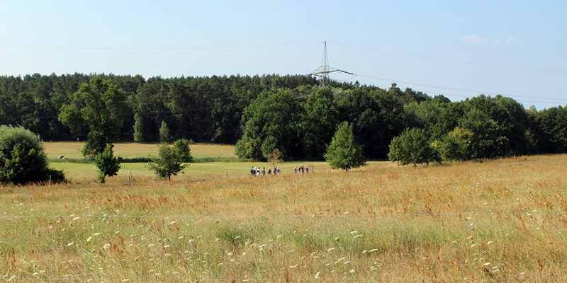Mühlen- und Quellwanderung vom Teupitzer See bis zum Klingespring unternimmt der Eifelverein Potsdam-Teltow