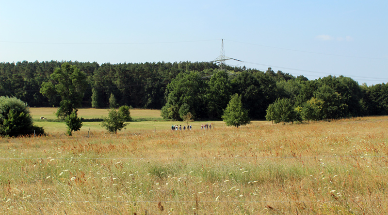 Mühlen- und Quellwanderung vom Teupitzer See bis zum Klingespring unternimmt der Eifelverein Potsdam-Teltow