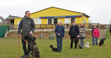 Ein Anlaufpunkt für die ErziehHundegebrauchsverein Berlin-Spandau/Güterfelde e. V.