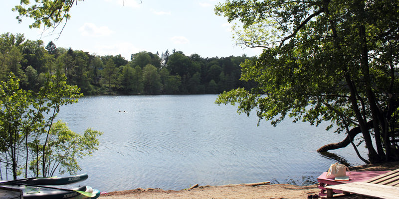 Schlachtensee und Krumme Lanke: Bürgerdialog
