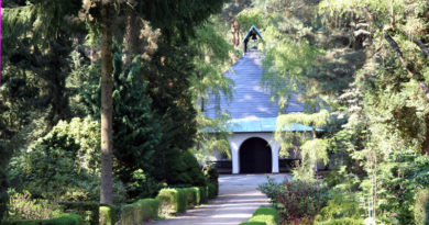 "Der Waldfriedhof Kleinmachnow – Gräber unter märkischen Kiefern" ist in Kleinmachnow im Büro des Heimat- und Kulturvereins in der Hohen Kiefer, auf dem Waldfriedhof selbst und in der Natura-Buchhandlung auf dem Rathausmarkt für 12 Euro zu haben.