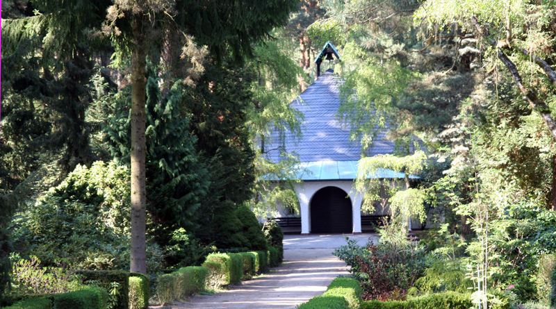 "Der Waldfriedhof Kleinmachnow – Gräber unter märkischen Kiefern" ist in Kleinmachnow im Büro des Heimat- und Kulturvereins in der Hohen Kiefer, auf dem Waldfriedhof selbst und in der Natura-Buchhandlung auf dem Rathausmarkt für 12 Euro zu haben.
