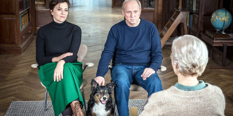 Neue Kammerspiele: Kinoprogramm vom 31. Oktober bis 6. November 2019