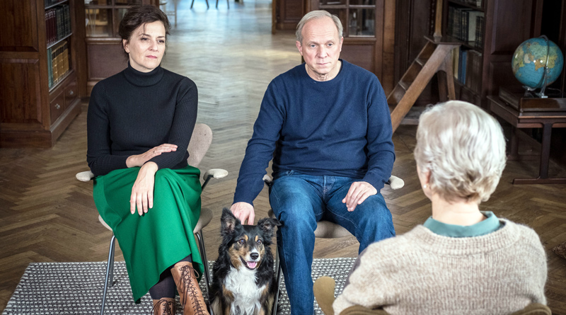 Neue Kammerspiele: Kinoprogramm vom 31. Oktober bis 6. November 2019