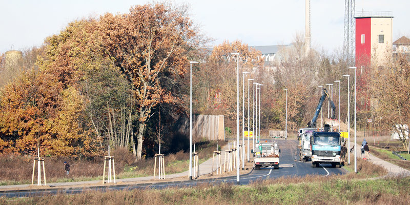 Biomalzspange Stahnsdorf und Teltow: Baumpflanzungen gestartet – Verkehrsfreigabe am 13. Dezember 2019 vorgesehen.