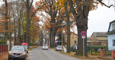 Ortsdurchfahrt Ruhlsdorf