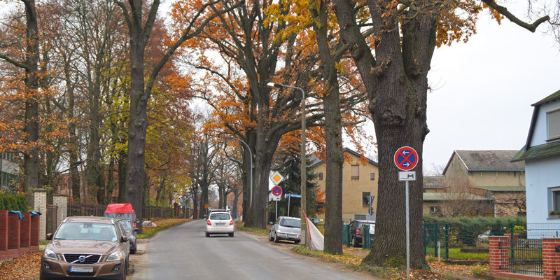 Ortsdurchfahrt Ruhlsdorf