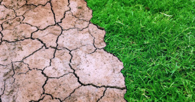 Die Dialogreihe „GlobaLokal“ macht heute Abend von 18:00 bis 20:00 Uhr im Stubenrauchsaal in Teltow Station. Unter anderem wird Dr. Fritz A. Reusswig vom Potsdam Institut für Klimafolgenforschung (PIK) e.V. kommunale Klimaschutz-Initiativen aufzeigen.