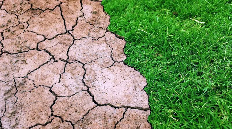 Die Dialogreihe „GlobaLokal“ macht heute Abend von 18:00 bis 20:00 Uhr im Stubenrauchsaal in Teltow Station. Unter anderem wird Dr. Fritz A. Reusswig vom Potsdam Institut für Klimafolgenforschung (PIK) e.V. kommunale Klimaschutz-Initiativen aufzeigen.