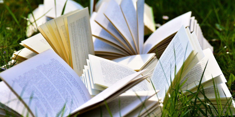 Anlässlich der Märkischen Literaturtage laden vom 28. Februar bis zum 30. März zehn Bibliotheken und sieben weitere kulturelle Einrichtungen im Landkreis Potsdam-Mittelmark zu Lesungen und besonderen Aktionen ein. Auch in unserer Region: