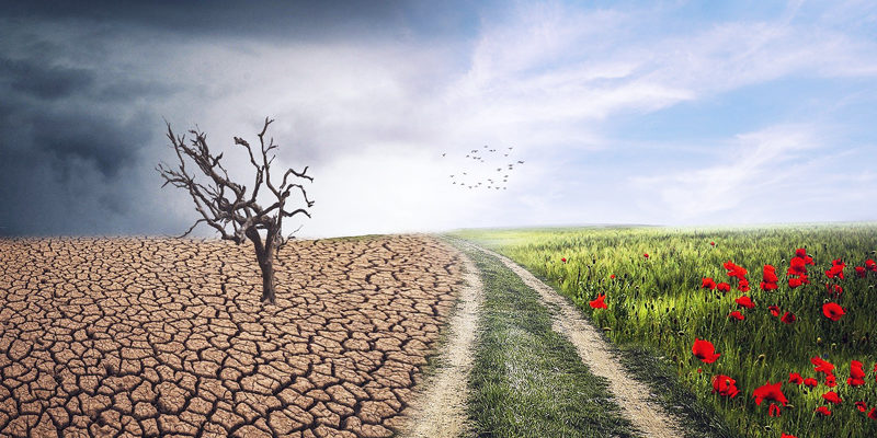 Am 29. Februar findet in Teltow erstmalig ein „Klimatag“ statt. Interessierte Verbraucher erfahren dort Wissenswertes zu allen Fragen rund um einen nachhaltigeren Lebenswandel.