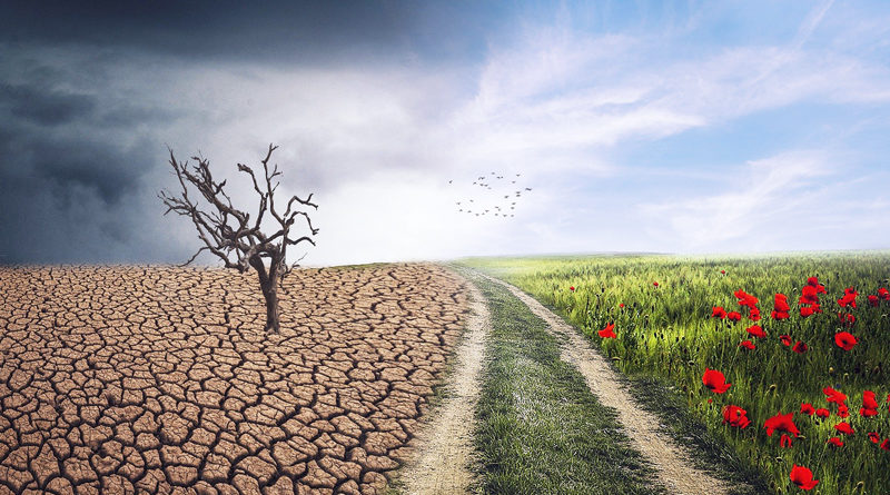 Am 29. Februar findet in Teltow erstmalig ein „Klimatag“ statt. Interessierte Verbraucher erfahren dort Wissenswertes zu allen Fragen rund um einen nachhaltigeren Lebenswandel.