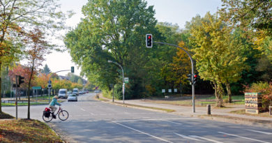 Kommenden Samstag muss in Kleinmachnow die Straße Hohe Kiefer zwischen den Einmündungen Förster-Funke Allee und Werner-Seelenbinder-Straße wegen Baumfällungen für den Autoverkehr voll gesperrt werden.