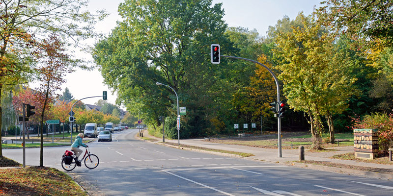 Kommenden Samstag muss in Kleinmachnow die Straße Hohe Kiefer zwischen den Einmündungen Förster-Funke Allee und Werner-Seelenbinder-Straße wegen Baumfällungen für den Autoverkehr voll gesperrt werden.