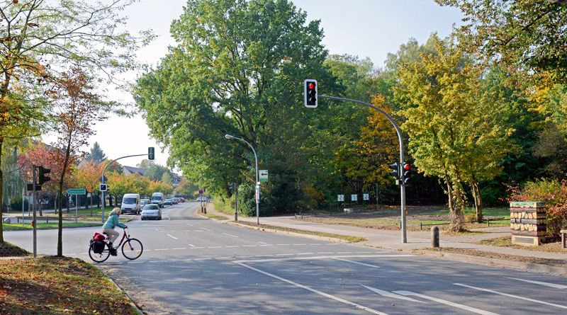 Kommenden Samstag muss in Kleinmachnow die Straße Hohe Kiefer zwischen den Einmündungen Förster-Funke Allee und Werner-Seelenbinder-Straße wegen Baumfällungen für den Autoverkehr voll gesperrt werden.