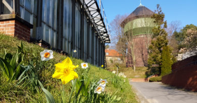 Botanischer Garten Berlin