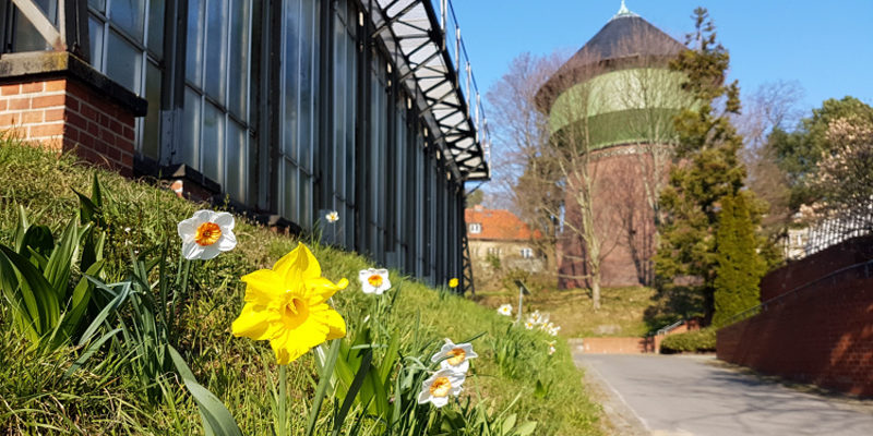 Botanischer Garten Berlin