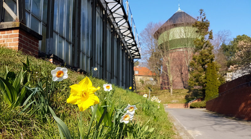 Botanischer Garten Berlin