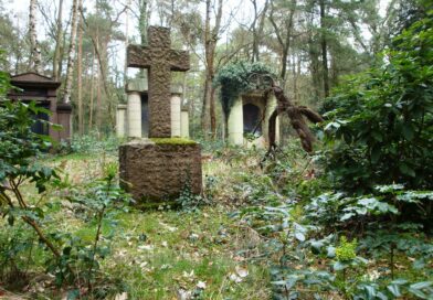 Geführter Frühlingsspaziergang auf dem Südwestkirchhof