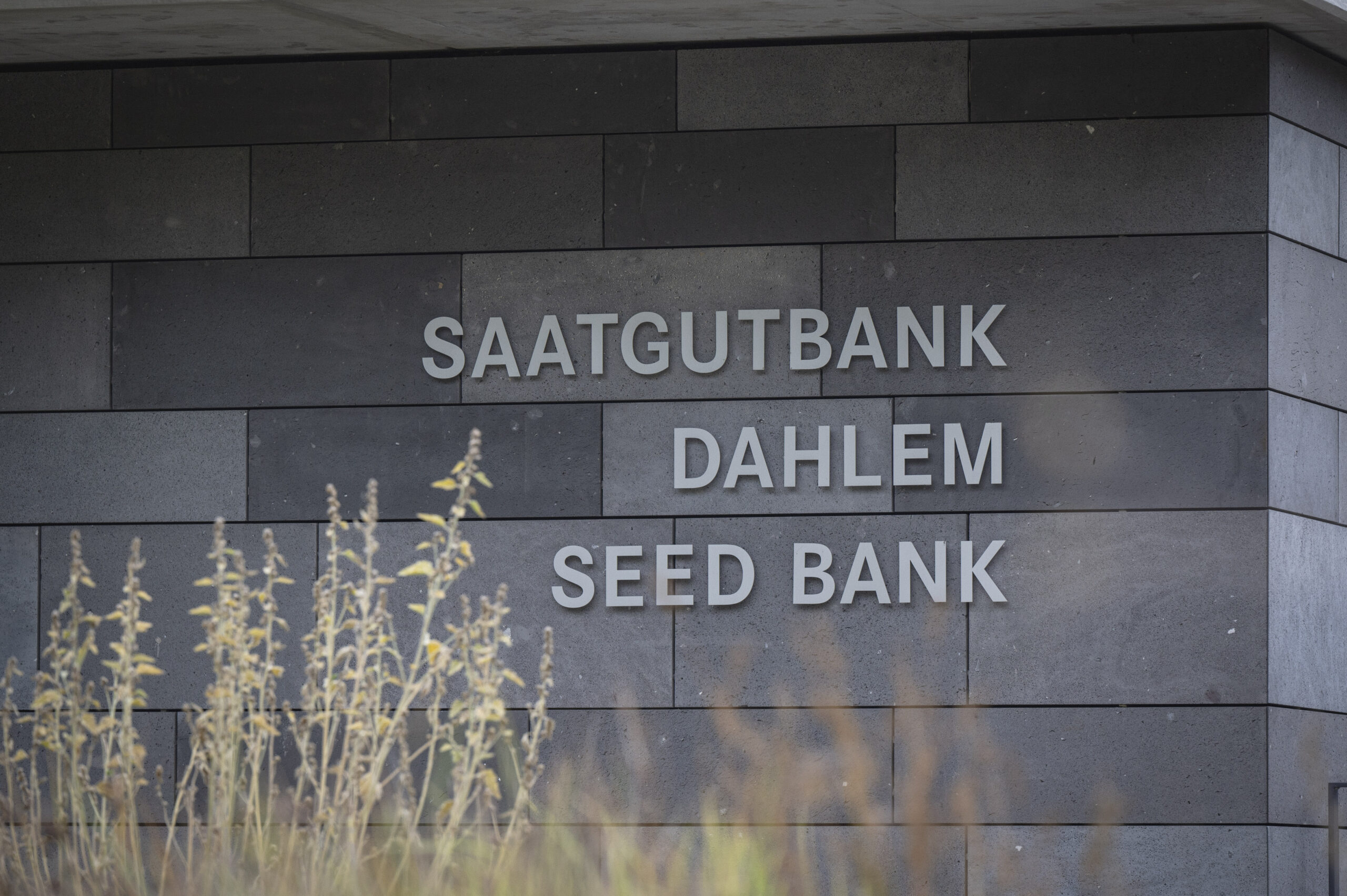 Zurck in die Zukunft: Die grte und lteste Saatgutbank fr Wildpflanzen  in Deutschland feiert 30-jhriges Bestehen - Teltower Stadtblatt-Verlag