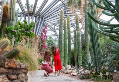 Die BERLINER KAKTEENTAGE 2025 im Botanischen Garten