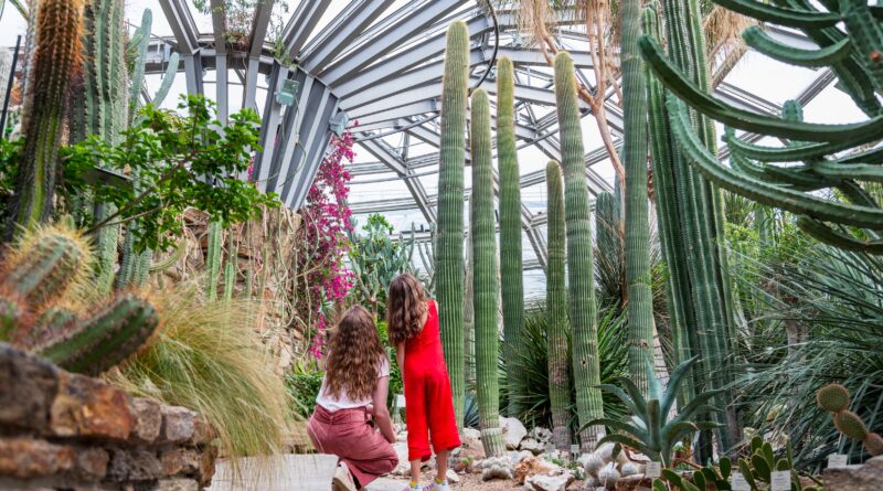 Die BERLINER KAKTEENTAGE 2025 im Botanischen Garten