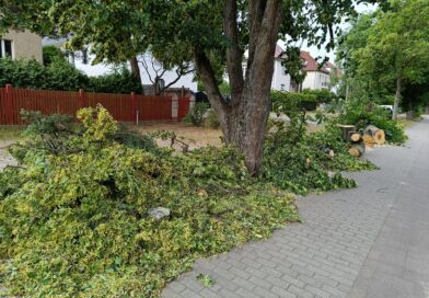 Feuerwehr Kleinmachnow – Zwölf Alarme in 90 Minuten.