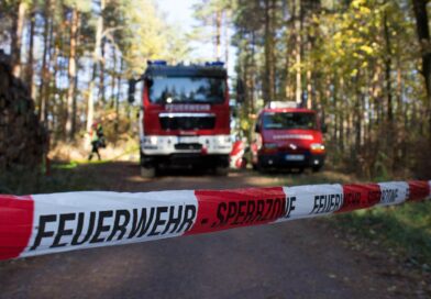 Brandenburg erlebt das trockenste Frühjahr seit Jahrzehnten