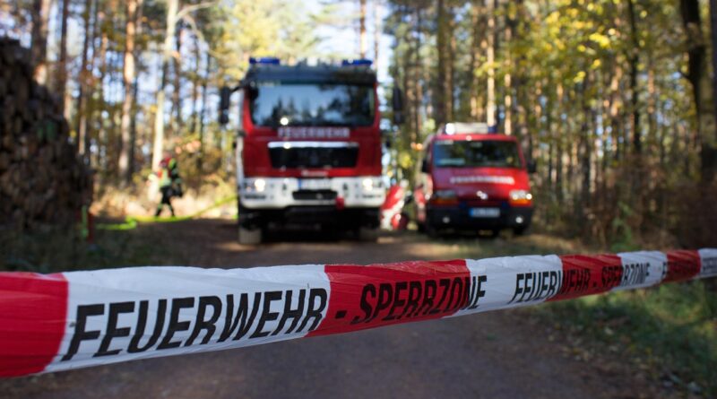 Brandenburg erlebt das trockenste Frühjahr seit Jahrzehnten