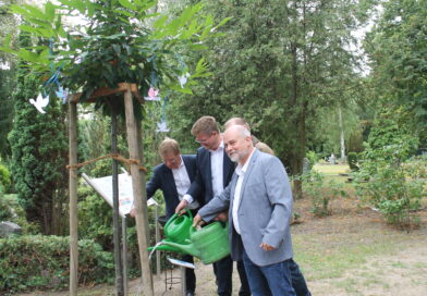 Teltow – Esskastanie für den Frieden gepflanzt