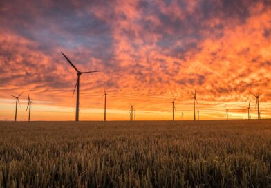 Brandenburgs Windräder blinken nachts nur noch bei Bedarf